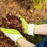 Protect Your Plants and Beautify Your Yard with Quality Mulch