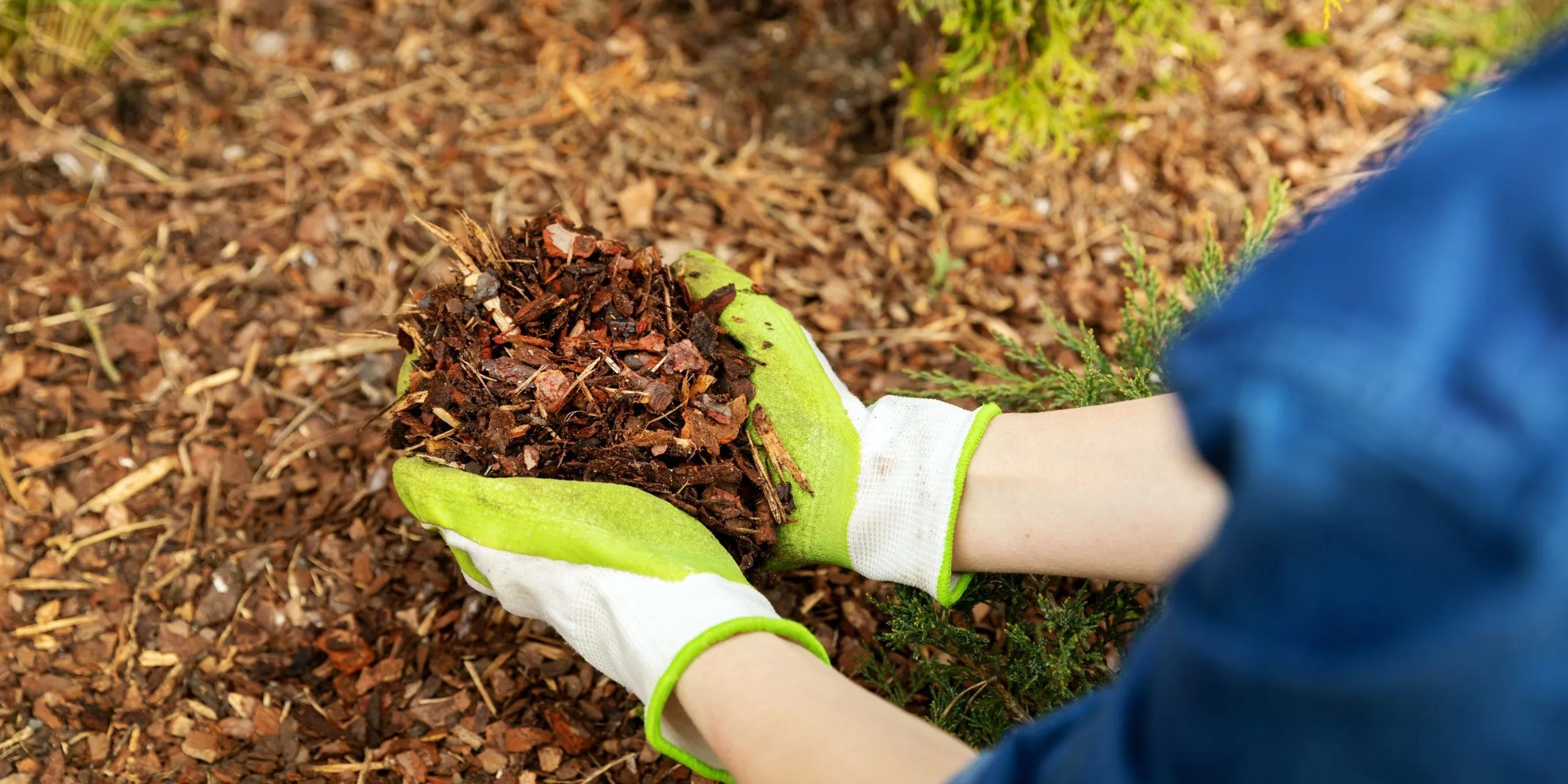 Protect Your Plants and Beautify Your Yard with Quality Mulch