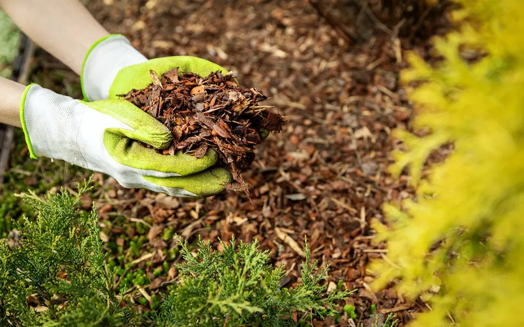 order your mulch delivery in cincinnati today